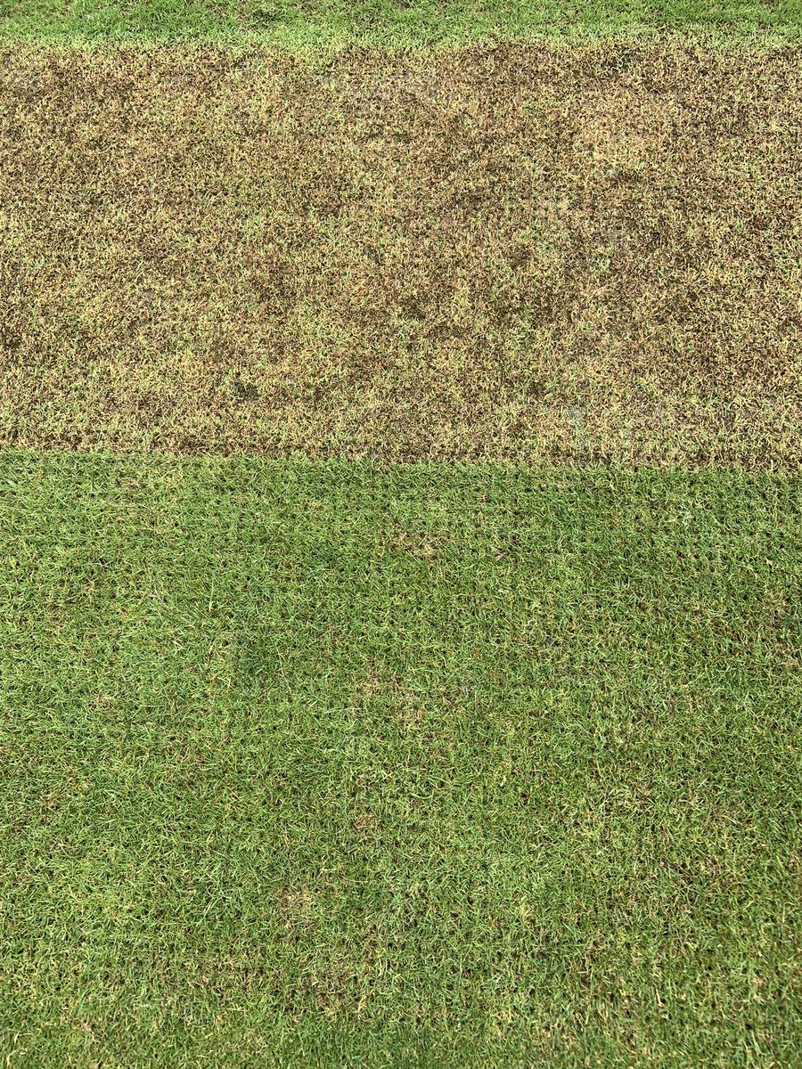 A fantastic day for Bigside as it gets its first ‘stitched’ pitch. Thank you to SIS Grass for a truly outstanding and seamless installation process.