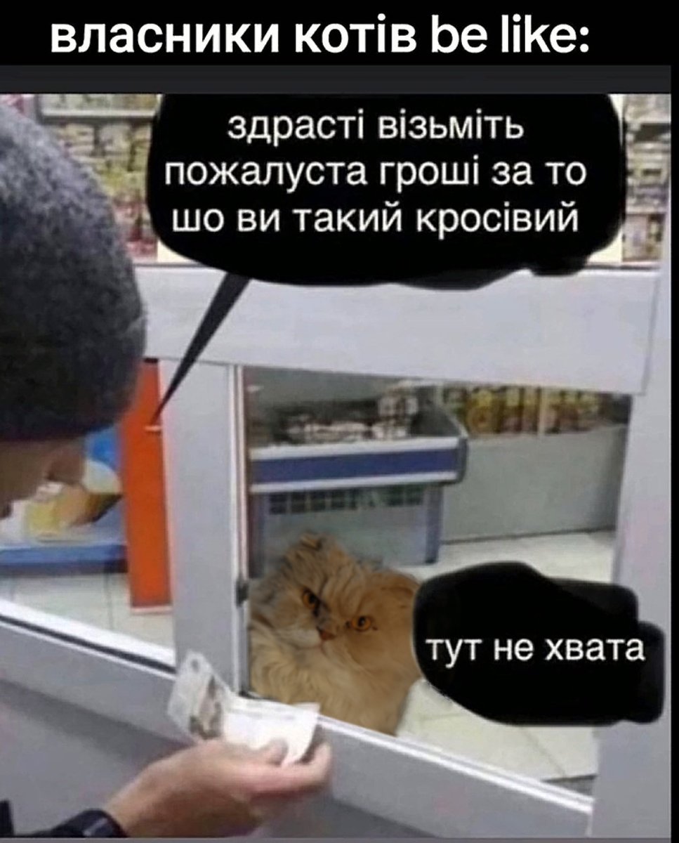 Пчол Кажюжя tweet media