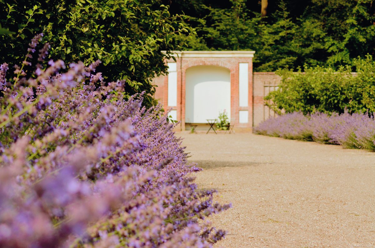 Mooie dingen in het leven: De historische #moestuin van Landgoed <a href="/Zuylestein/">Landgoed Zuylestein</a>! 
#genieten #mooiedingen #geenpolitiek #fijnweekend #nederlandopzijnmooist