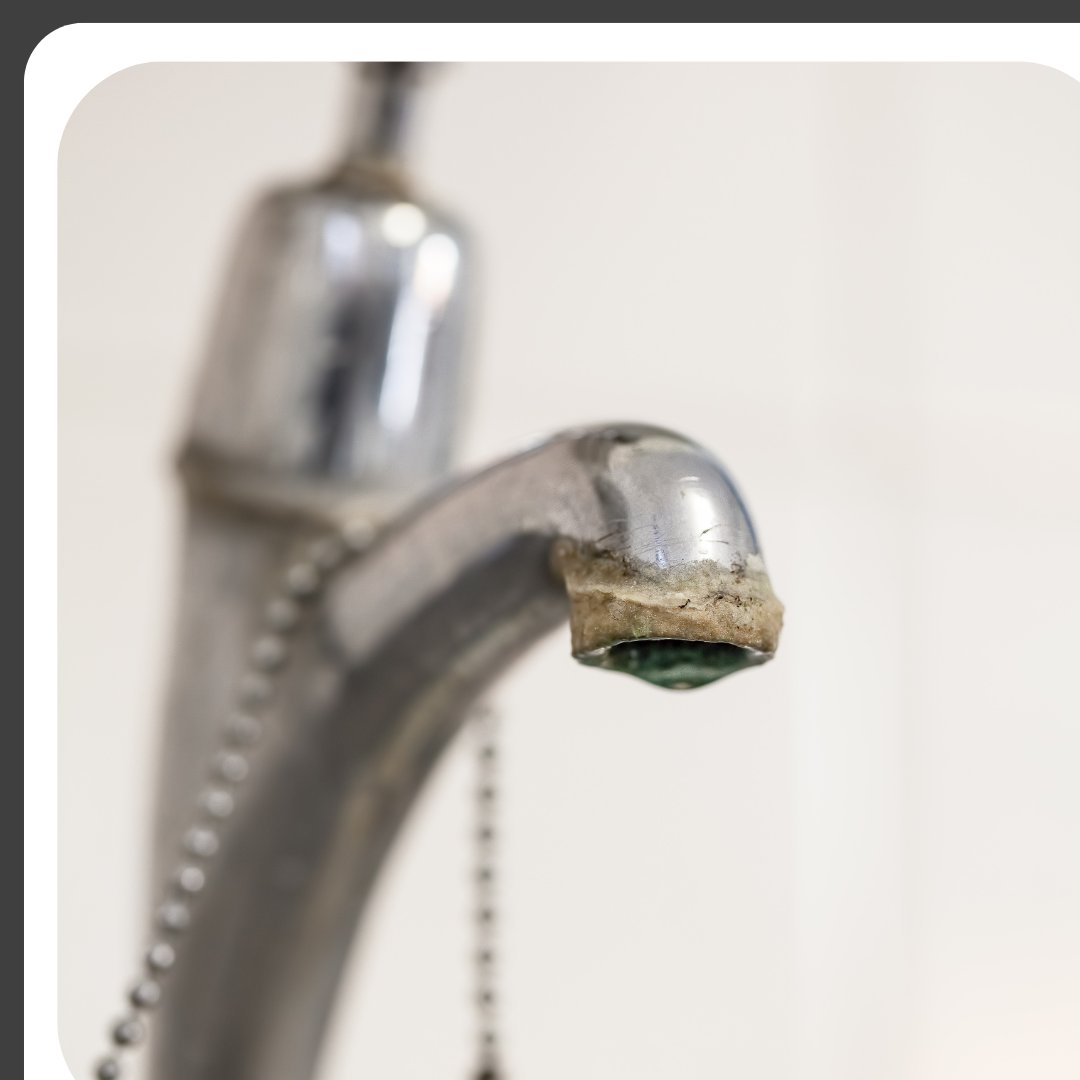 DandG_Support's tweet image. Build up of limescale caused by hard water in appliances such as #dishwashers &amp;amp; #washingmachines can stop them working efficiently. 🚿

Regularly maintaining your appliances is key to keeping them tip top &amp;amp; extending their lifespan.

Read more: bit.ly/3IFcBoD