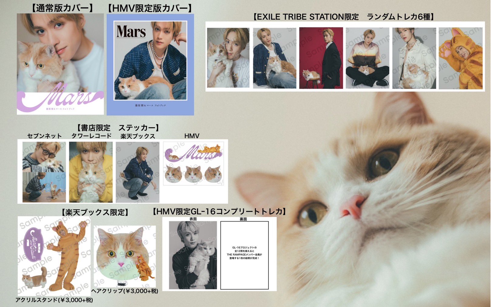 最終値☆MASSARA パンフレット アルバム ブックマーカー ステージフォト 25445-1226-
