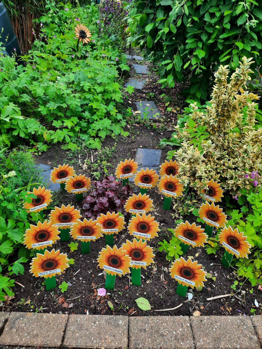 Join us for our monthly coffee morning next Fri (7th June) from 10am - 12noon. The coffee morning will support our Sunflower Memories appeal, where those who've dedicated a sunflower in memory of a loved one are invited to see their sunflower plaque in the hospice garden. 🌻💙