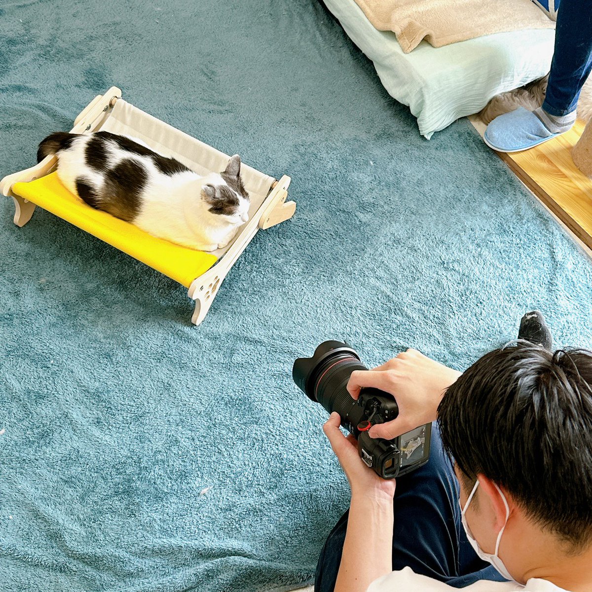 猫ちゃんってドアを閉めると「あけろー（カリカリ）」としてくるくせに

開けたら開けたで入ってこなかったりしますよね🤣笑

自分のテリトリーは見えるようになってないと不安なのかな🥵

猫らしくて好き😻💕

#猫あるある #猫のいる暮らし