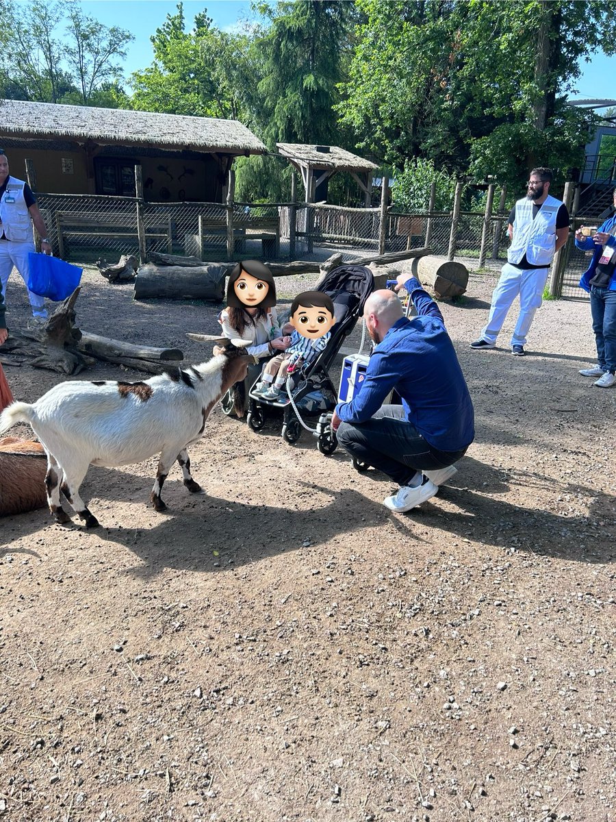 Nadir Tafer (@nadir_tafer) on Twitter photo Parenthèse au zoo dans un parcours éprouvant d’attente de greffe 🫀sous cœur artificiel 🙏<a href="/Lesliensducoeur/">Les Liens Du Coeur</a> #dondorgane
<a href="/Alexis_Thomas_h/">Alexis THOMAS</a> <a href="/jbthambo/">JB Thambo</a> <a href="/RoubertieF/">roubertie francois</a> <a href="/Aouattara33/">Ouattara Alexandre</a> <a href="/OJBoyau/">Olivier JOANNES-BOYAU</a> <a href="/KNouette/">Karine Nouette Gaulain</a> <a href="/AnneMoulin33/">Moulin Anne</a> <a href="/CHUBordeaux/">CHU de Bordeaux</a> <a href="/elise_langouet/">Elise Langouet</a> <a href="/nicolasrougier/">Nicolas Rougier 🤙</a> <a href="/LScheirlinck/">Latifa Scheirlinck</a> <a href="/thibaultcrgn/">Thibault Courgeon</a> Parenthèse au zoo dans un parcours éprouvant d’attente de greffe 🫀sous cœur artificiel 🙏<a href="/Lesliensducoeur/">Les Liens Du Coeur</a> #dondorgane
<a href="/Alexis_Thomas_h/">Alexis THOMAS</a> <a href="/jbthambo/">JB Thambo</a> <a href="/RoubertieF/">roubertie francois</a> <a href="/Aouattara33/">Ouattara Alexandre</a> <a href="/OJBoyau/">Olivier JOANNES-BOYAU</a> <a href="/KNouette/">Karine Nouette Gaulain</a> <a href="/AnneMoulin33/">Moulin Anne</a> <a href="/CHUBordeaux/">CHU de Bordeaux</a> <a href="/elise_langouet/">Elise Langouet</a> <a href="/nicolasrougier/">Nicolas Rougier 🤙</a> <a href="/LScheirlinck/">Latifa Scheirlinck</a> <a href="/thibaultcrgn/">Thibault Courgeon</a>