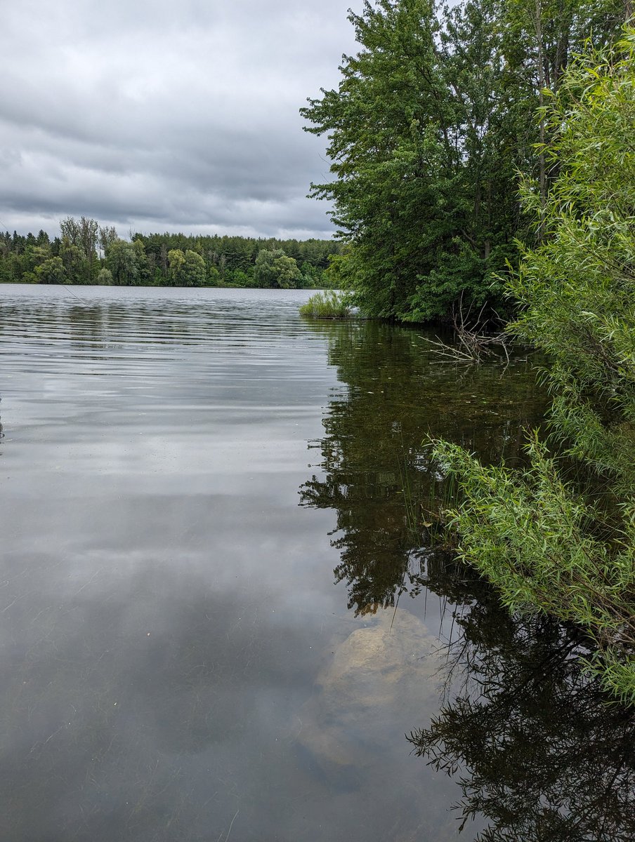 Knights for Justice took on Mountsberg Conservation Area on Tuesday and had a great guide, Mario, showing us the different ecosystems and reflecting on our role in climate change adaptation and mitigation 🌎🌲🌳🐑