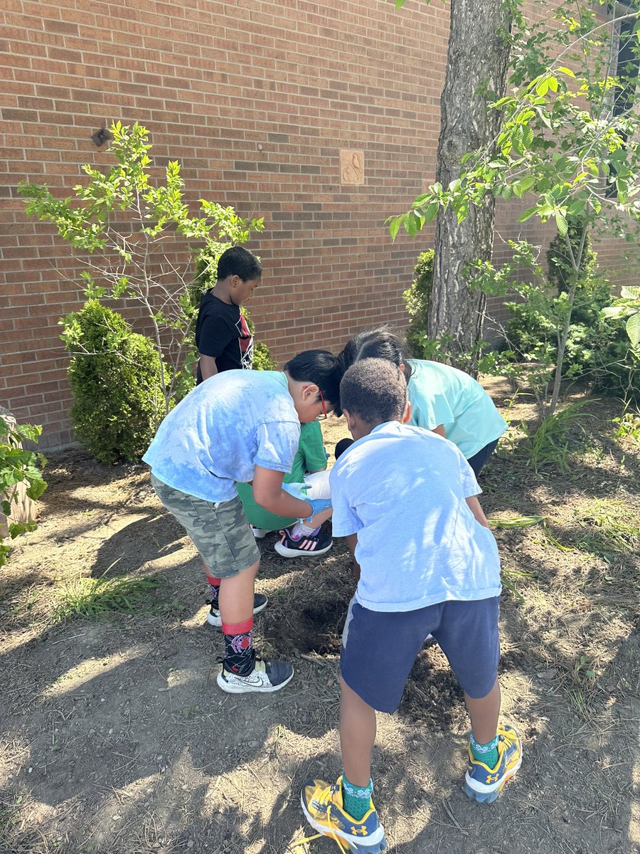 Doing our best to beautify our surroundings #planting #gardens @breacorbet @DPCDSBSchools @StElizabethSet1