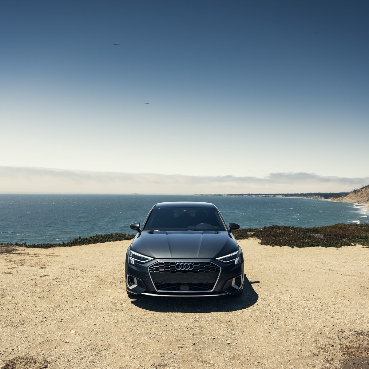 Audi Pacific tweet media