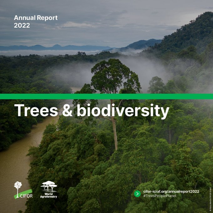 UNBiodiversity's tweet photo. In forests and on farms, trees stabilize and enrich #soil, absorb water and nutrients from the ground and carbon from the air, and create microclimates – while also supporting food security &amp; livelihoods.

 ↪️: https://t.co/D6Cct8yzwG

 #Trees4Resilience #SaveSoil 

@CIFOR_ICRAF https://t.co/F0C81BUGbj