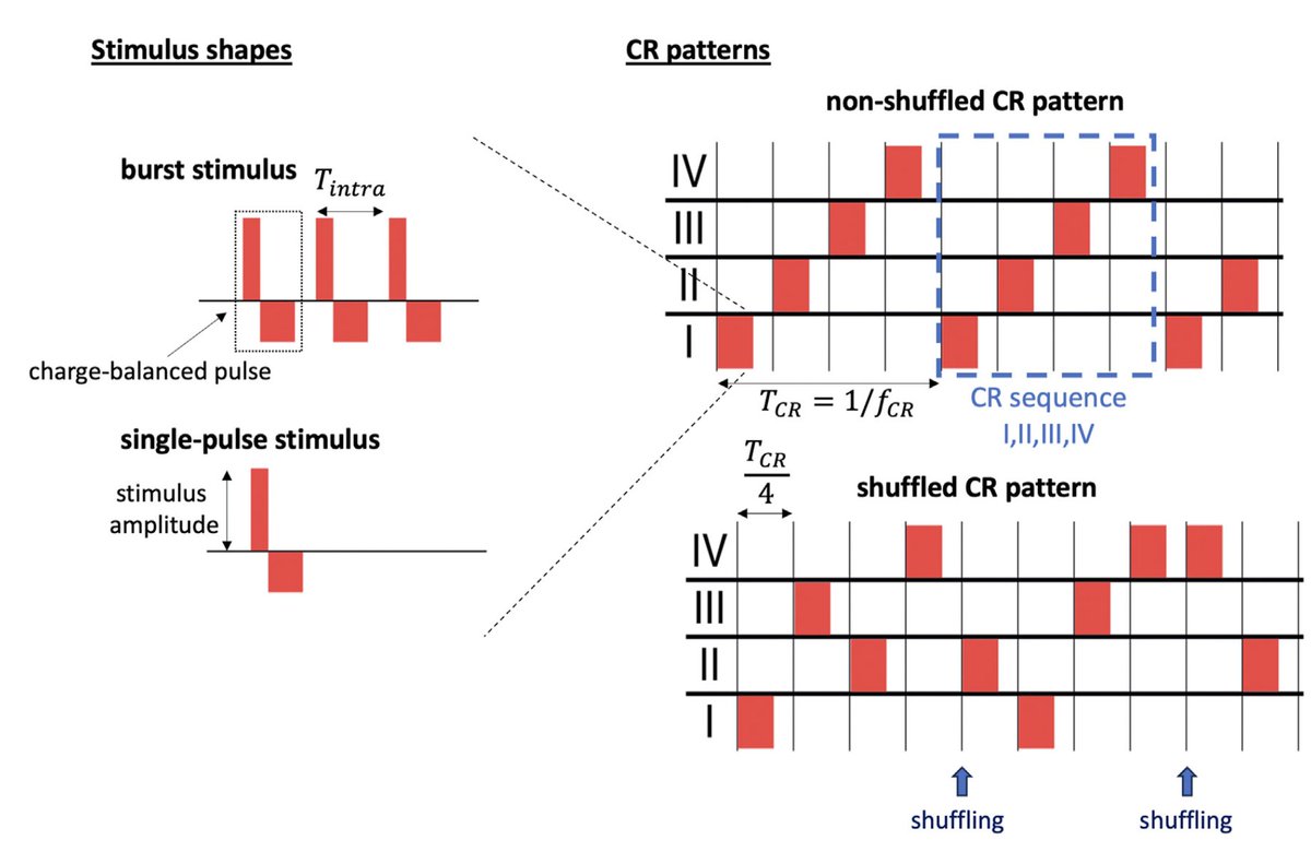 Peter A. Tass, MD, PhD (@peter_tass) on Twitter photo Here is a detailed computational follow up study on the interplay between spatially inhomogeous connectivity patterns and the impact of different types of CR sequences, published in <a href="/FrontNetPhysiol/">Frontiers - Network Physiology</a> :
doi.org/10.3389/fnetp.… Here is a detailed computational follow up study on the interplay between spatially inhomogeous connectivity patterns and the impact of different types of CR sequences, published in <a href="/FrontNetPhysiol/">Frontiers - Network Physiology</a> :
doi.org/10.3389/fnetp.…