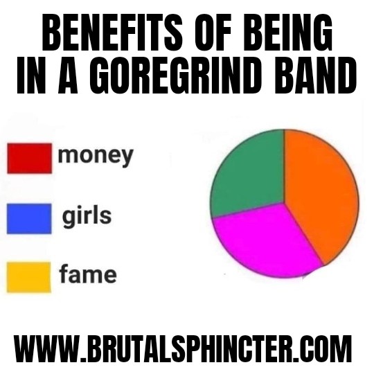 The correct legend is :
🟢 Sweaty men with a big beer belly🫃🏼🍺
🟠 Sexist jokes 🚫
🟣 Playing in front of 50 people max ❤️

Merch : brutalsphincter.com 

#metalmeme #metalmemes #goregrind #grindcore #deathmetal #memes