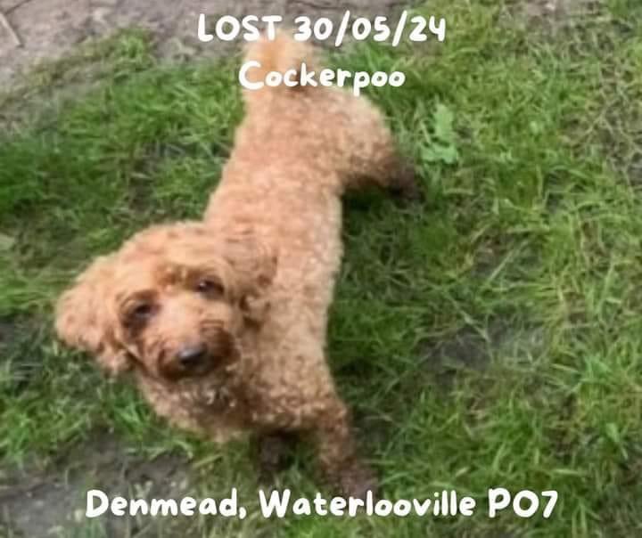 Please share missing - area post code PO7