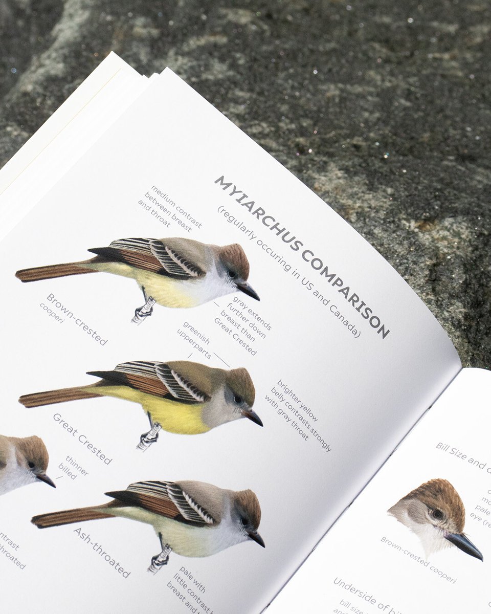 Princeton Nature tweet media