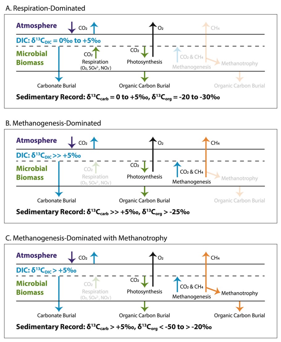 Oxygenation of Earth’s atmosphere is the most extensive known chemical transformation of a planetary surface by microbes. Discover how the process induced metabolic & ecologic changes recorded in the Lomagundi-Jatuli carbon isotopic excursion: asm.social/1TA @AppEnvMicro