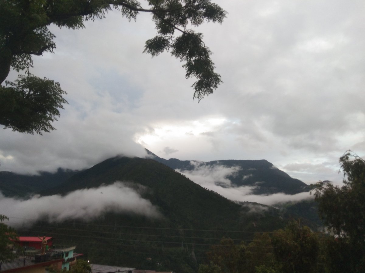 🌿🌀For you🌀🌿