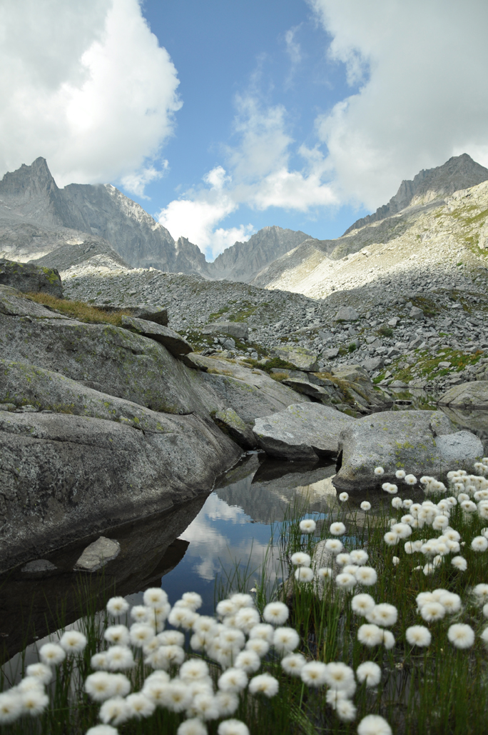 Rotari USA tweet media