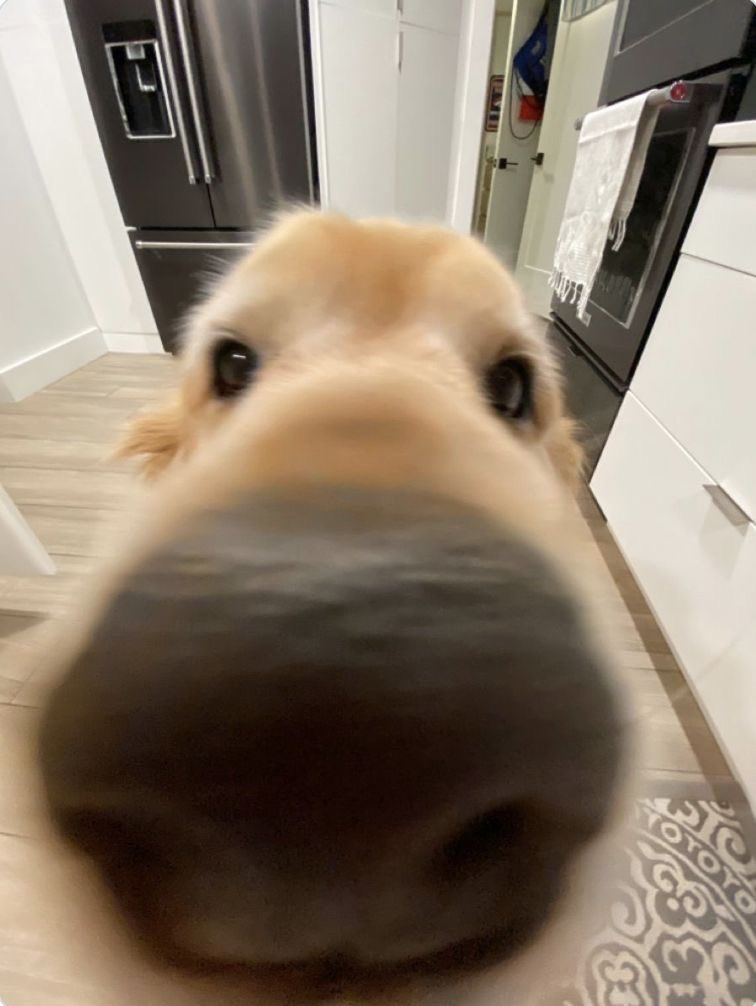 tatum༉‧. tweet media