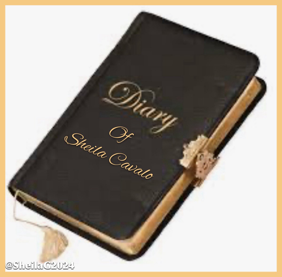 📕 From the diary of Sheila Cavalo May 30, 2024 Yesterday, President Trump’s donation link momentarily crashed. We the people are standing behind him and will vote for him, whether he is in jail or not. We mailed a large check to his campaign. I want him to be able to keep all