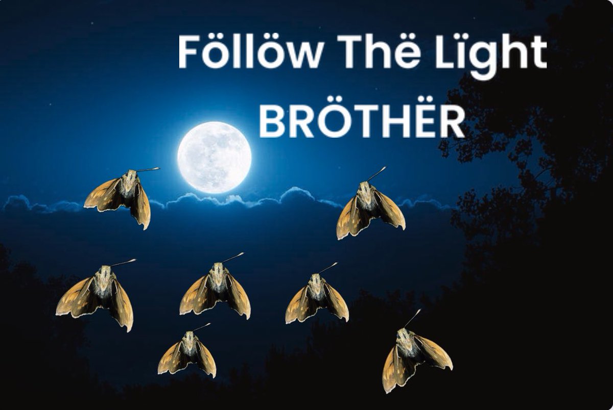 JoseUrbPer's tweet photo. $MOTH Love the light 

EfRr6xyFYAwVLSV2sYt68gXwPFfUYayGpEyRoSLGRS5L
@mothmemecoin https://t.co/4HtzrbjNGH