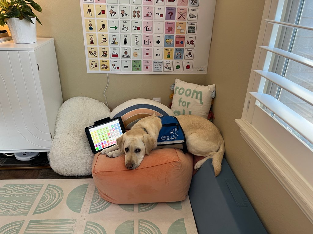 Even Jeanine is excited about CoreWord60, check out her new wall communication board! 

Learn more about the CoreWord™ Language System here: forbesaac.com/coreword

#AAC #AugmentativeCommunication #AssistiveTech #CoughDropAAC #Forbes AAC