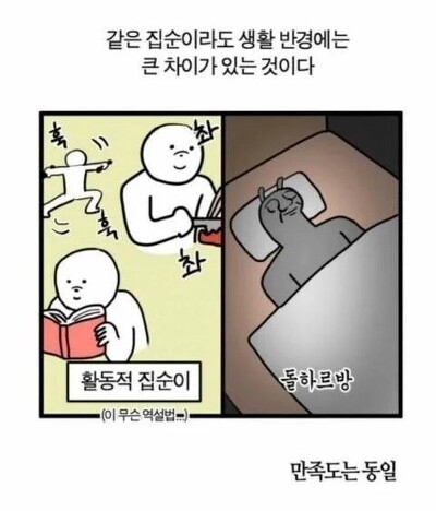 WkfxjfrP's tweet photo. 집순이도 차이가 있다 https://t.co/sZBC4sXUJ9