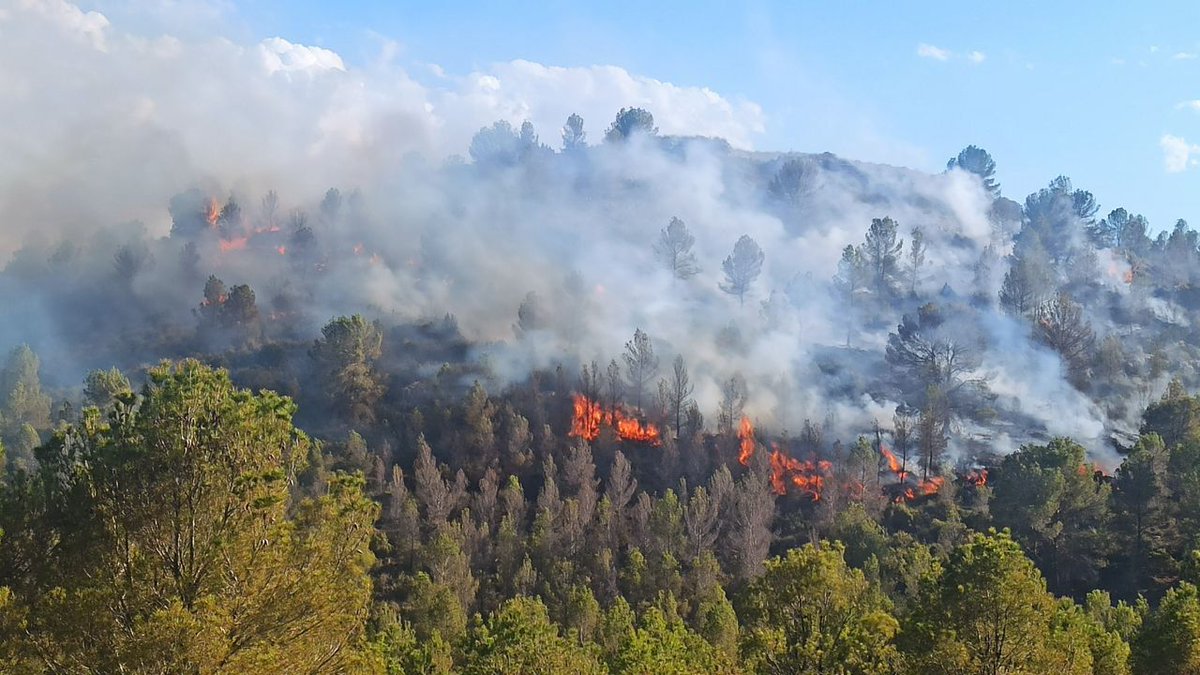 2/3 El 90 por ciento de los incendios forestales que se declararon en 2023 se apagaron antes de que pasaran de conato. Pero el mejor incendio es el que no se produce y, para ello, tu colaboración es fundamental.