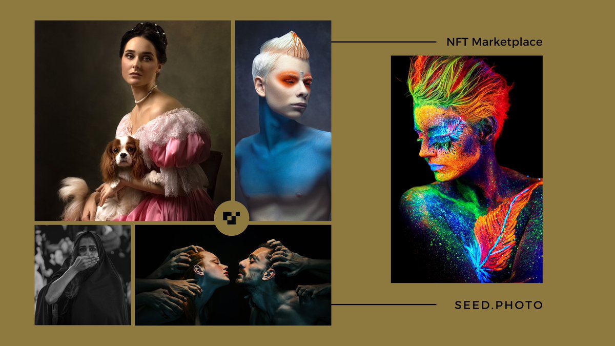 seed.photo tweet media