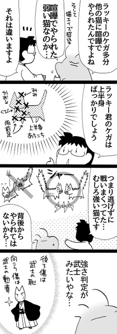 四コマ「拾い猫ラッキー13」
後ろ傷とは、逃げる時に背後から受けた傷のことらしいです。向こう傷は逆で、戦って体の前面に受けた傷です。

#四コマ漫画 #猫 #御かぞくさま御いっこう 