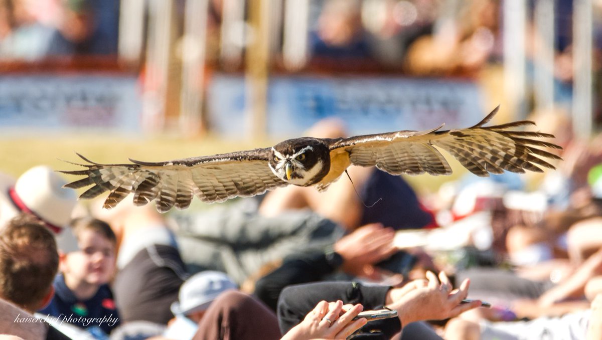 NG Magazines tweet media