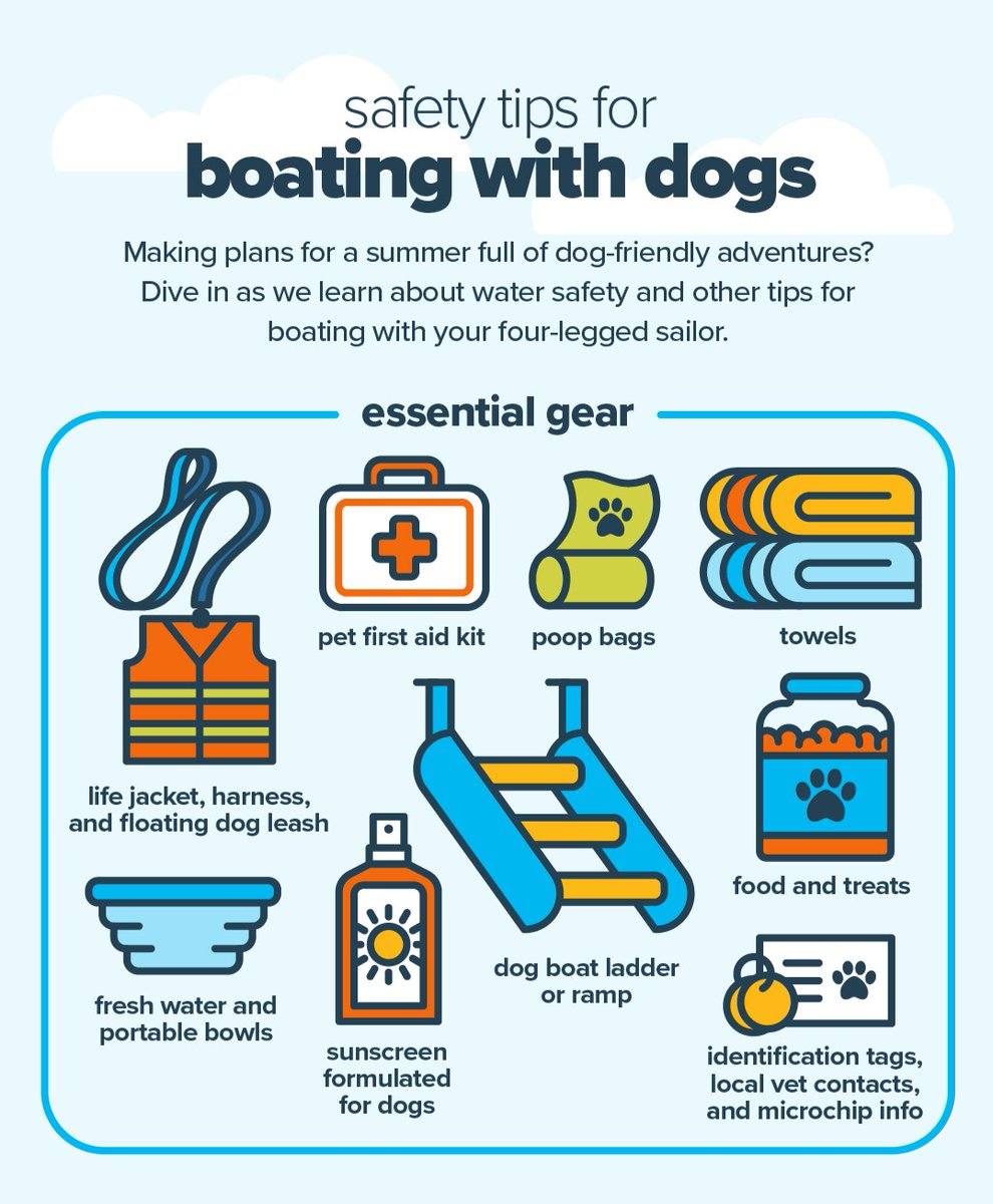 ASPCAPetIns's tweet photo. Set sail with your furry first mate 🐾⛵ This summer, learn how to make every boating adventure with your dog safe and unforgettable:https://t.co/CojdbjB0nd

#BoatingWithDogs #AdventureBuddies #Dogs #ASPCAPetInsurance #DogInsurance #PetInsurance #Pets https://t.co/PkutwKRe54