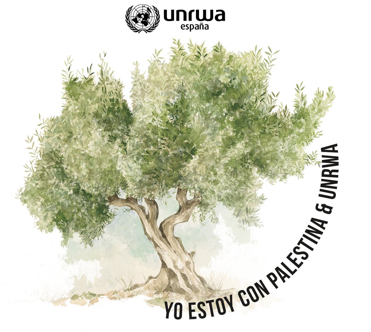 UNRWA.es tweet media