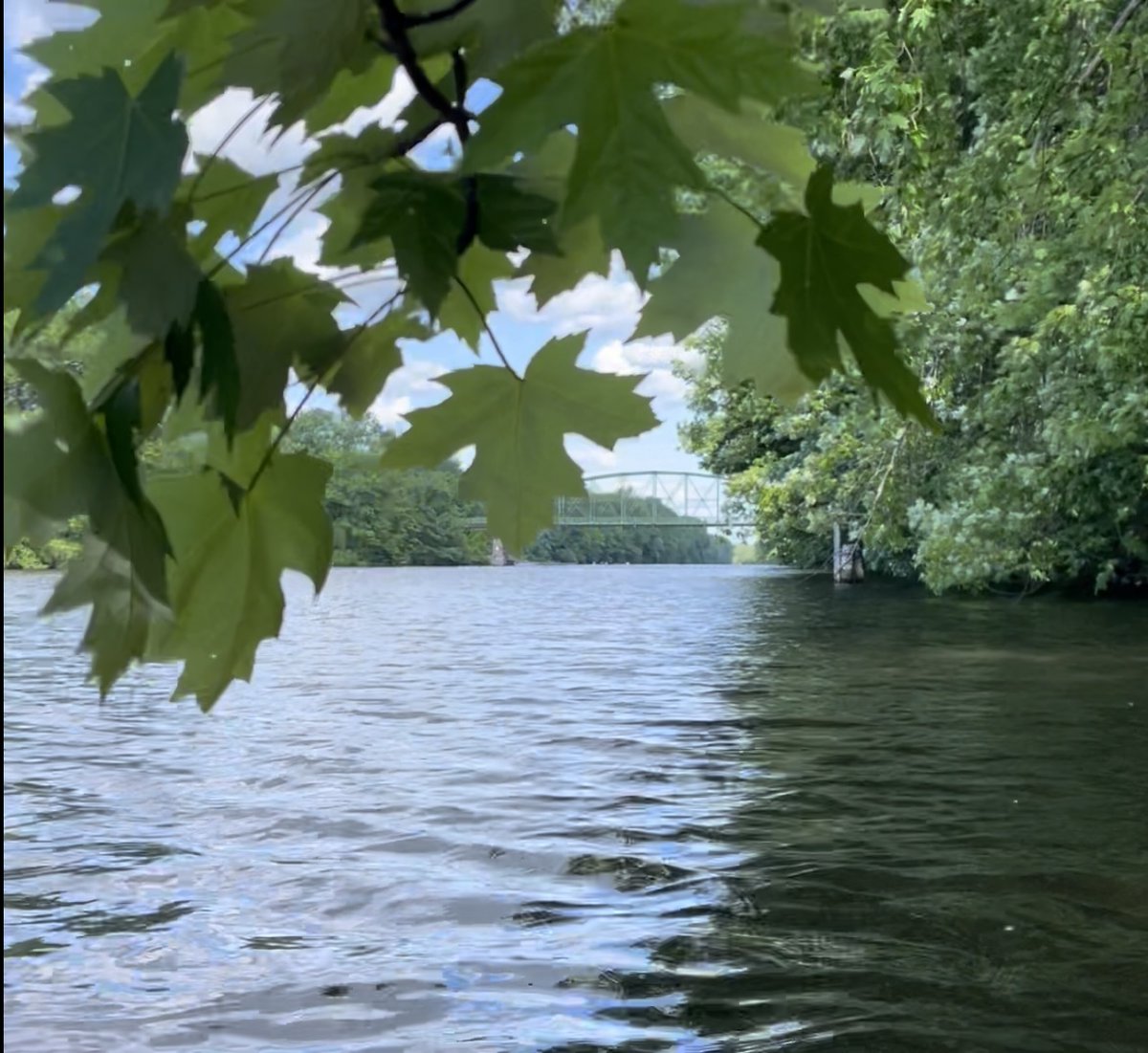 Patrick J. Lynch tweet media