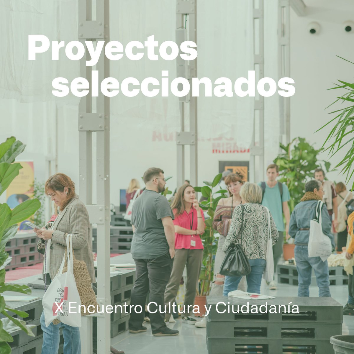 cultuciudadania's tweet photo. 📢¡Publicado el listado de proyectos seleccionados en la convocatoria del #XEncuentroCulturayCiudadanía!

Tras varias jornadas de reflexión, damos a conocer las 26 iniciativas que participarán en la 10ª ed.

💚 ¡Gracias por todas las propuestas enviadas!
👉https://t.co/Tv1nOWBR1h https://t.co/mim31LwFWR