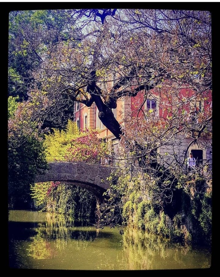 Buona serata i Navigli dove ha abitato la Poetessa Alda Merini . #buonasera #31maggio #Navigli #goodevening