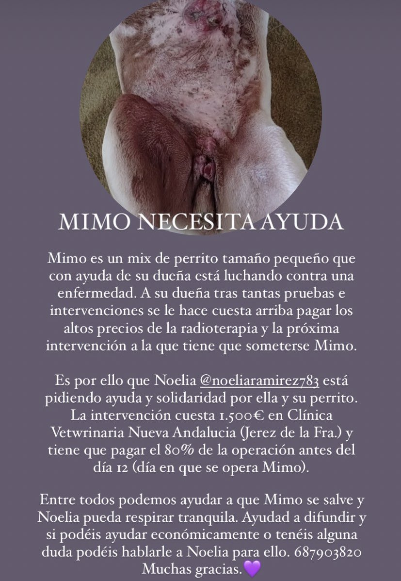 Os pido un minuto de vuestro tiempo en leer lo que le está ocurriendo a Mimo🐶 a ver si entre todos podemos ayudar a él y a su dueña con los altos gastos de la radioterapia y las intervenciones quirúrgicas. 💜💜💜 
Ruego mucha difusión 📣📣📣