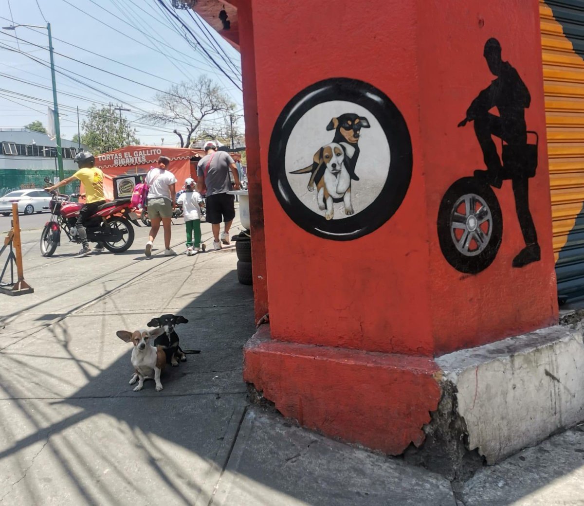 Vine a parchar una llanta y me encontré al CEO y al fundador de la empresa.