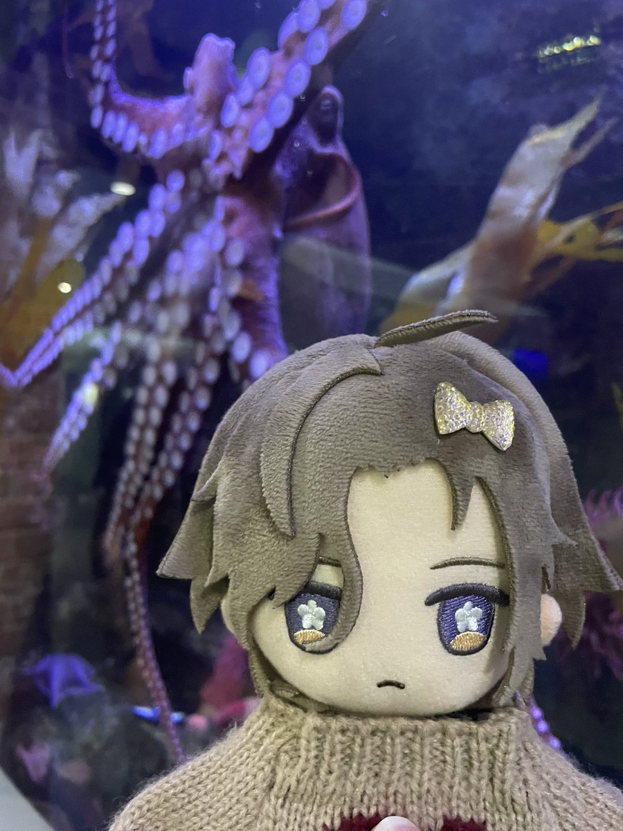 Henri had fun at the aquarium! The manatee had an emotional support log it was carrying 🥺