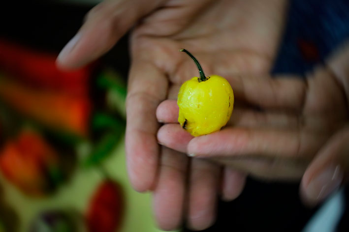 LaInventadera's tweet photo. #31May #Gastronomías

La huella que lleva al fogón, y viceversa

Es imposible leer esta conversa-recetario-historia con Laura Díaz, ver las fotos que la acompañan, y no sentir ganas de comer venezolano 🤤🫕🥘

✍️ @ToroPenelope 
📸 @Kndy_Moncada 

📰https://t.co/ZsKlOW6v7c https://t.co/sSsI5fQHg6