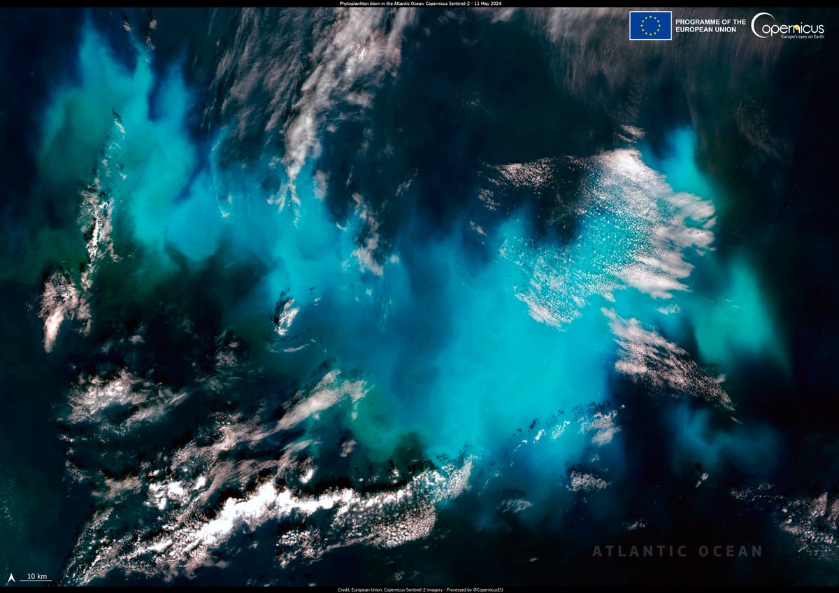 #DYK that #CopernicusMarine and @EMODnet #OpenData support EU environmental policies❓ This data enables the #EUDTO to simulate ocean dynamics, which helps to improve decision-making processes 🌊 Read more at👇 euractiv.com/section/energy…