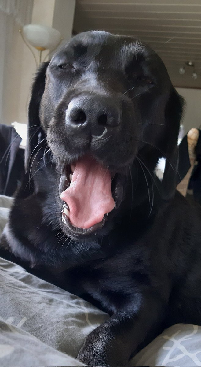 So Mittagsstunde vorbei Mami, es kann weiter gehen. 😅😊