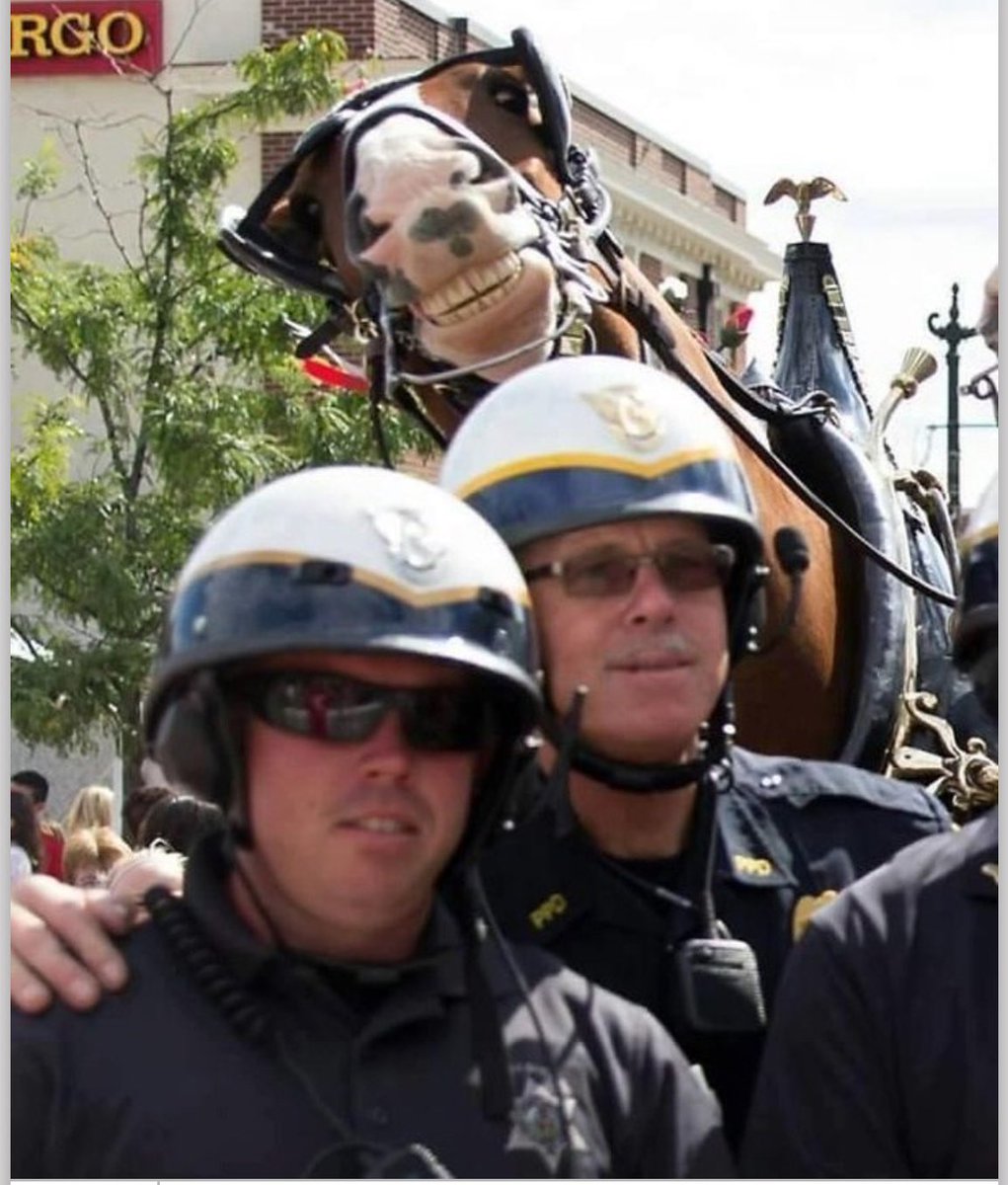 SpecEquestofGA's tweet photo. Photobomb Friday
#animalsbeingderps   #reddit     #tgif   #workingfortheweekend    #horse #horses  #horselovers #equestrian   #equestrianlife  #equestrianlife #specialequestriansofgeorgia  #miltonga  #equineassistedtherapy   #mentalhealth  #mentalhealthawareness  #wellness https://t.co/fShdaKFpff