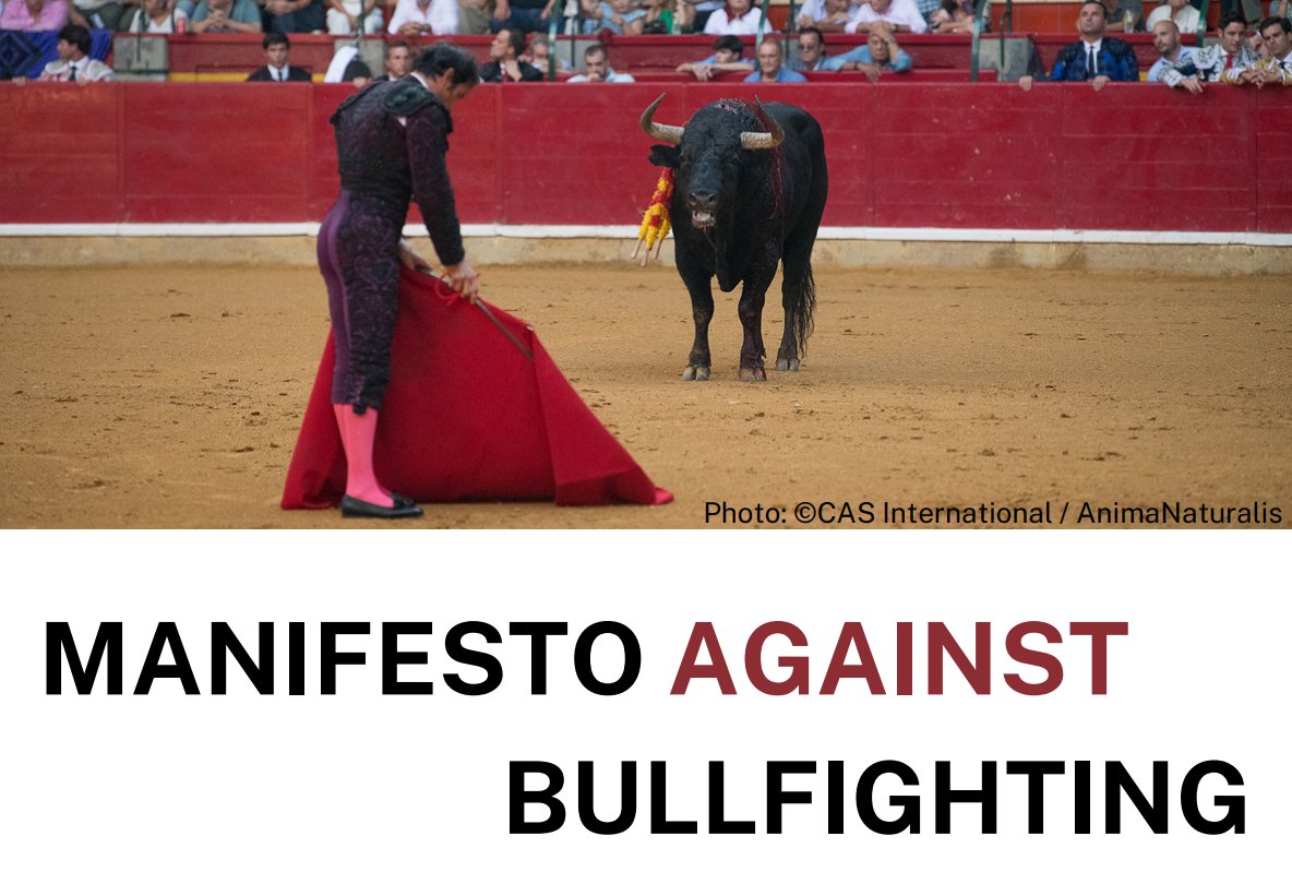 CAS International (@cas_int) on Twitter photo Next week (6-9 June) the elections for the EU Parliament take place! Vote for a Europe without bullfighting! --> stieren.net/en-gb/european… Already 79 Candidate MEPs have signed the manifesto against bullfighting <a href="/RedIntAntiT/">Red AntiTauromaquia</a> Next week (6-9 June) the elections for the EU Parliament take place! Vote for a Europe without bullfighting! --> stieren.net/en-gb/european… Already 79 Candidate MEPs have signed the manifesto against bullfighting <a href="/RedIntAntiT/">Red AntiTauromaquia</a>