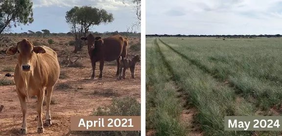 Brooke Littlewood tweet media