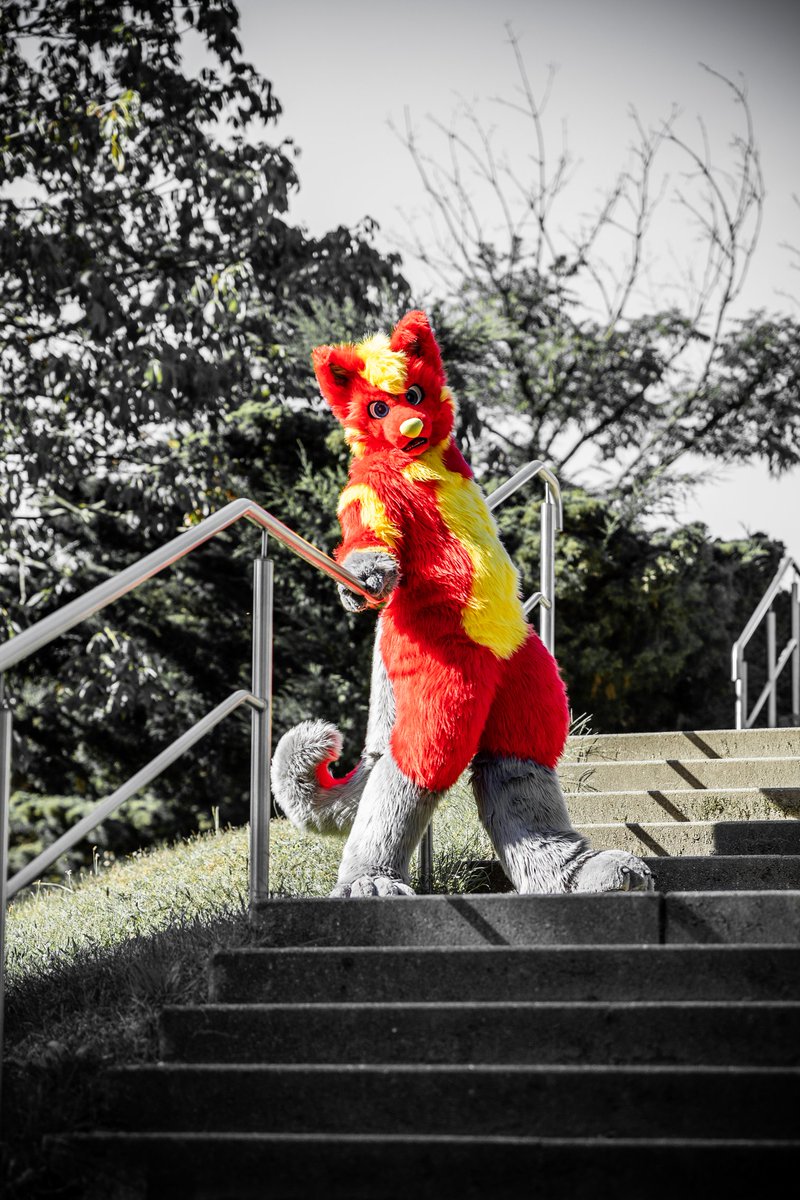 Hay, would you like to come upstairs to me? 
Maybe I have something for you.
#FursuitFriday
📷 <a href="/SquashTFC/">Squash 🐾 🔜 Pack Weekend</a>