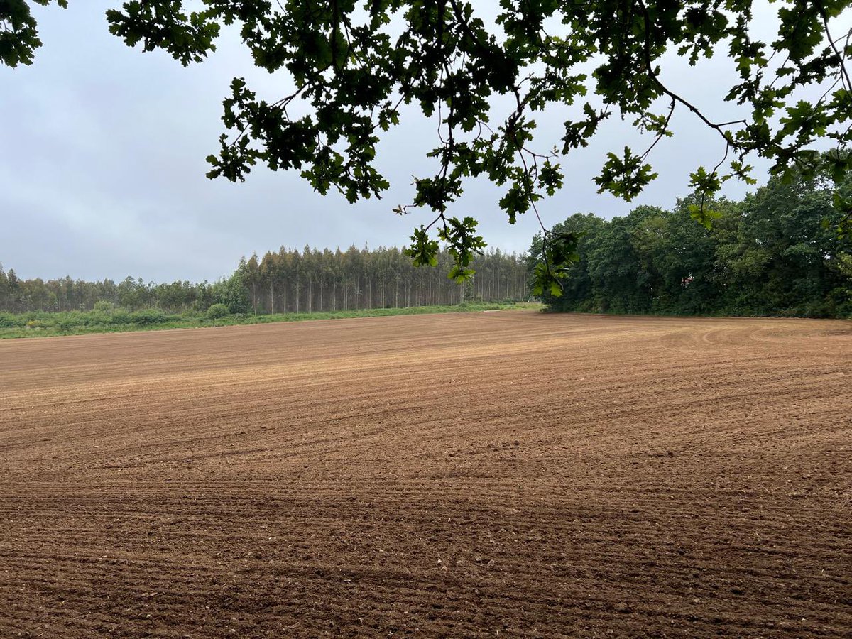 Traversing Liminality tweet media