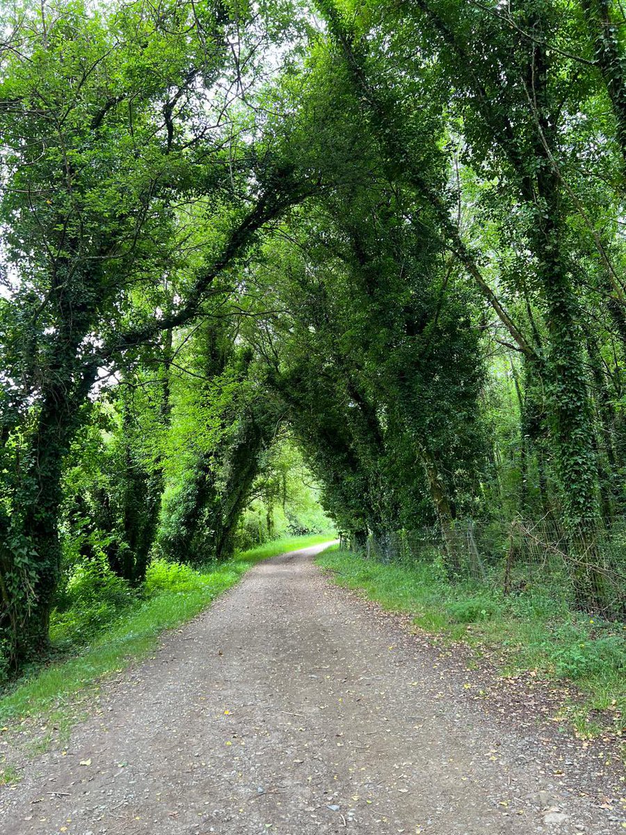 Traversing Liminality tweet media