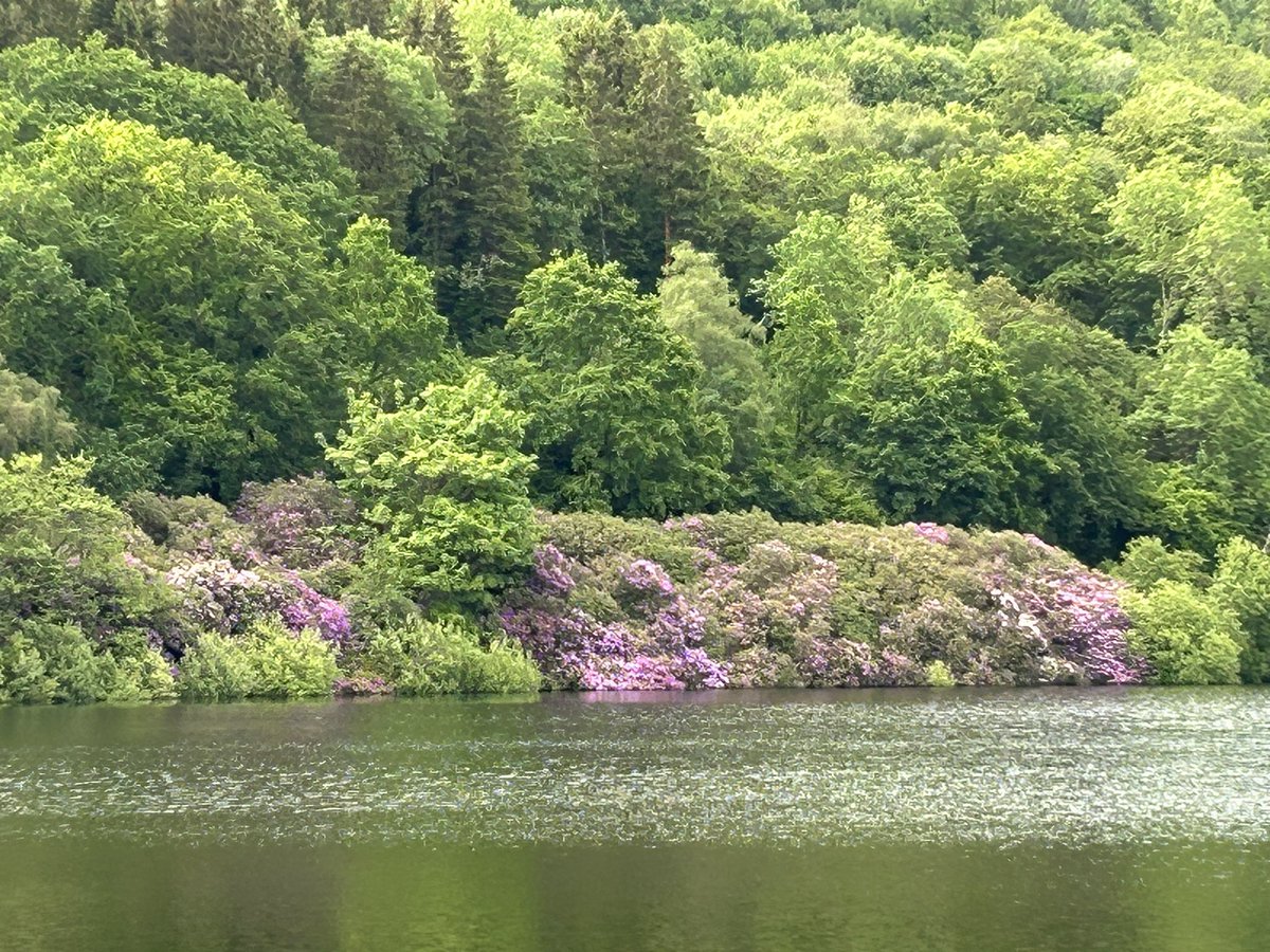 Scotland is beautiful to run but wales isn’t too bad either #myhills #breconbeacons 
No rest for the wicked and it’s been a while 🤷‍♀️