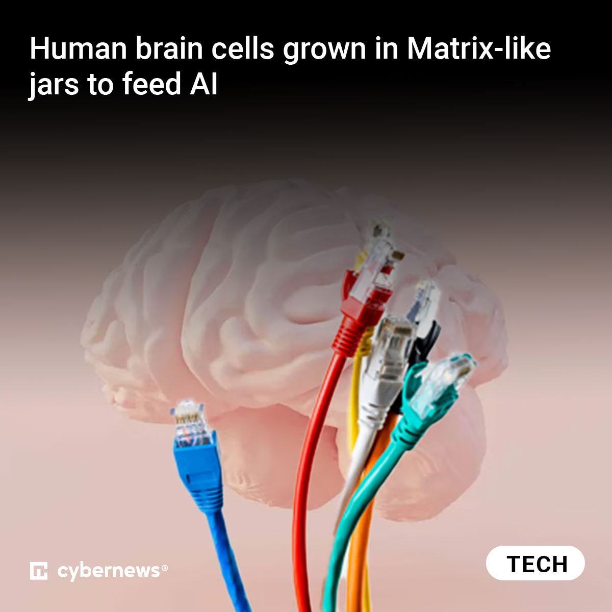 These bioprocessors consume significantly less power than conventional digital processors. 
Read more: cnews.link/human-brain-ce…

#technology #AI #FinalSpark #biocomputing