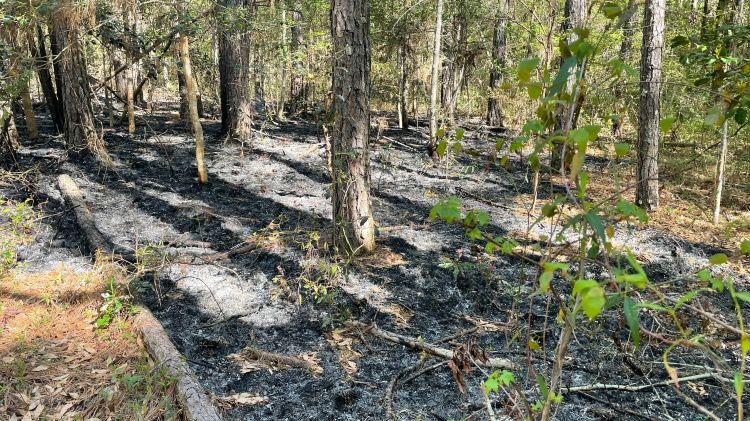 Fires in wooded areas around Northwich started deliberately increase this time of year. Some of these may have started from a camp fire not being extinguished properly. These fires stop us from attending life risk incidents and damage wildlife areas.