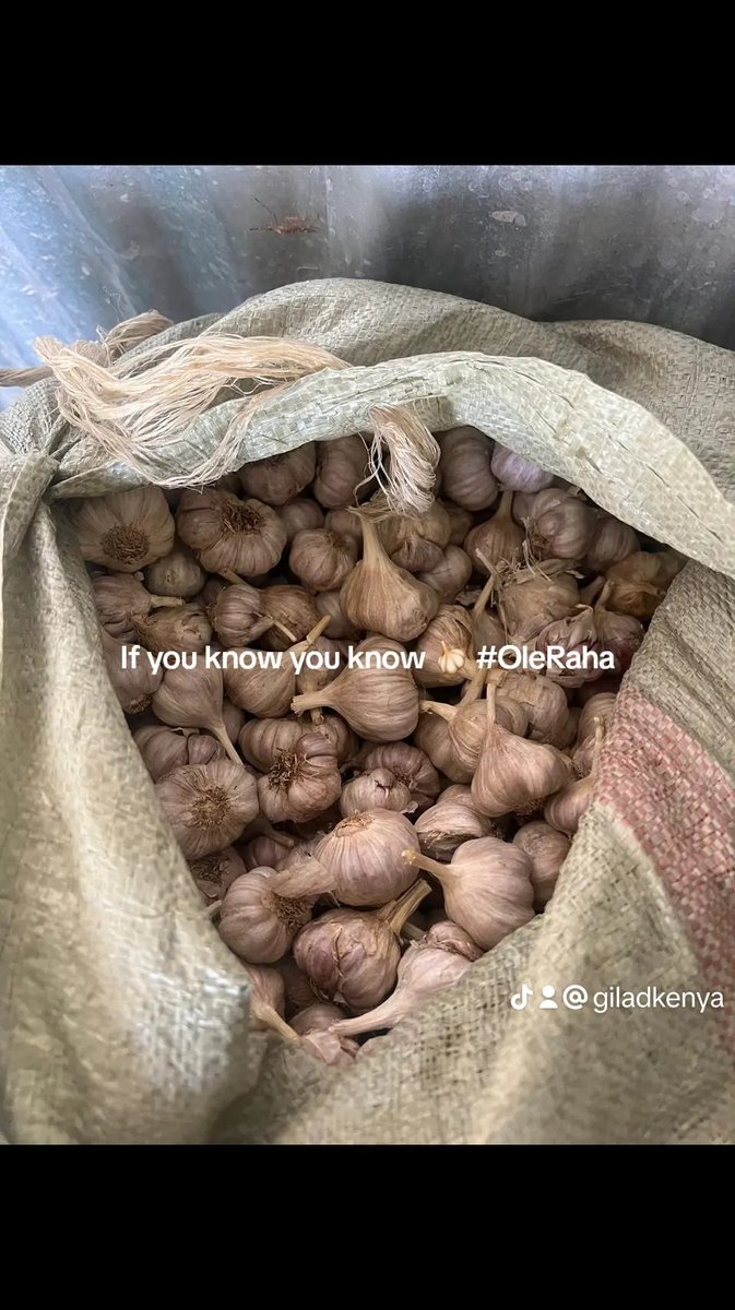 GiladMillo's tweet photo. Arusha Garlic 🧄 grown in 🇰🇪 by an Ole Raha Farmer ❤️ To join the Ole Raha family of farmers 🧄 call/WhatsApp 0733660002 or 0715337936 📲
#oleraha #growninkenya #garlicfarming https://t.co/fLdmifsc7d
