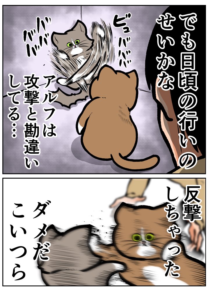 やっぱ日頃の行いって大事だな 